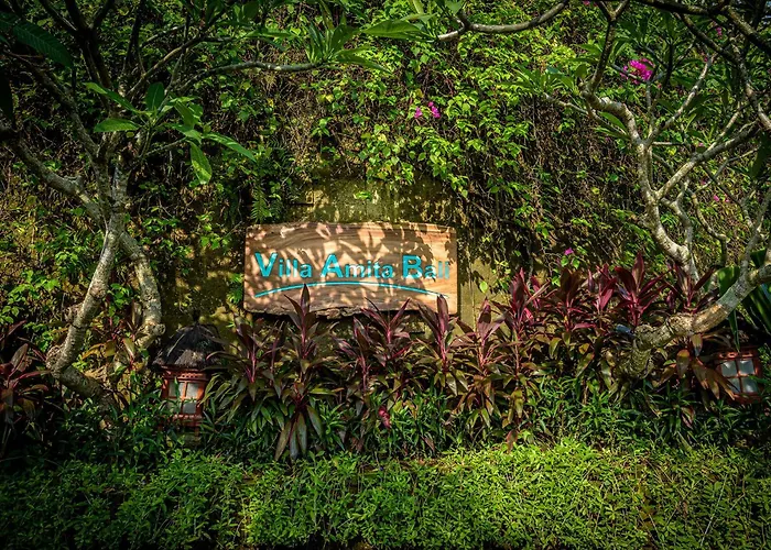 Amita On The Bukit, Pandawa